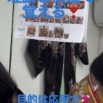 橋本着付け教室｜相模原市の他装着付け教室:月・火定期クラス